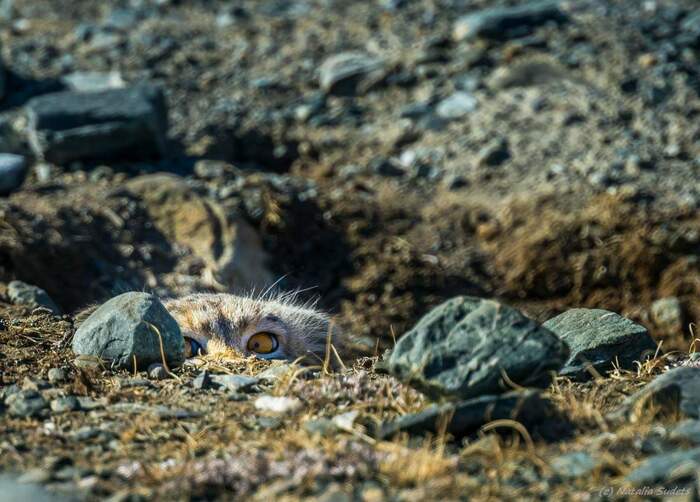 Вы нагладились уже?