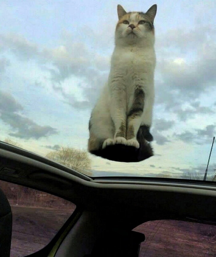   ,  , , ,  , 