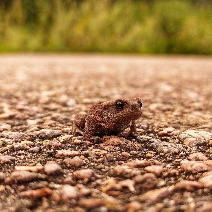 ���������,�� ����� �������� ����