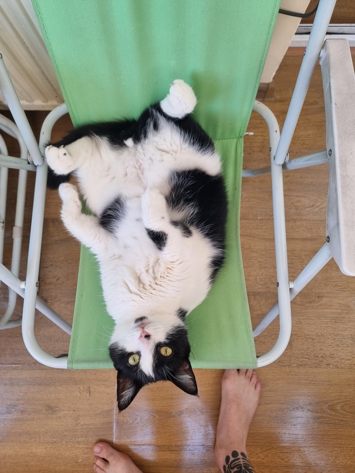 ��� �������� ? ��� �� ������ !