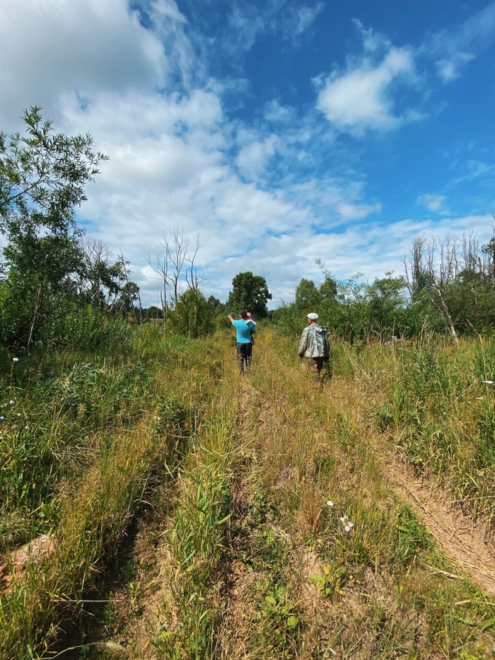 Хочу вести блог