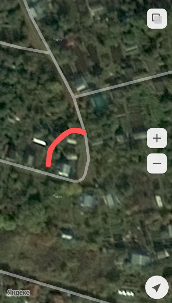 Мои соседи по даче