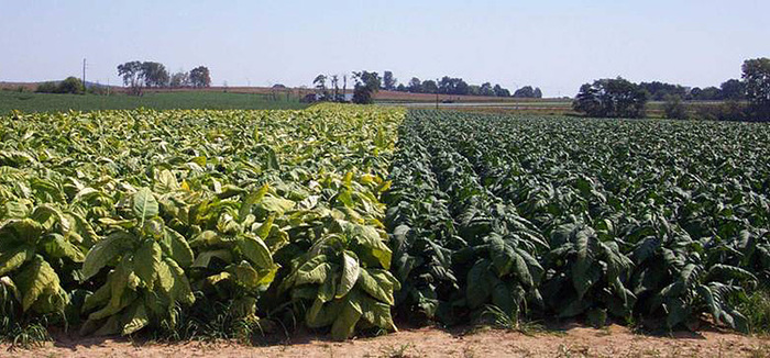 ��������. " ����� ��� ����" ?