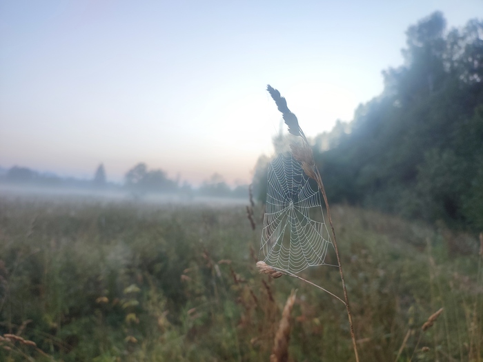 �������� � ����