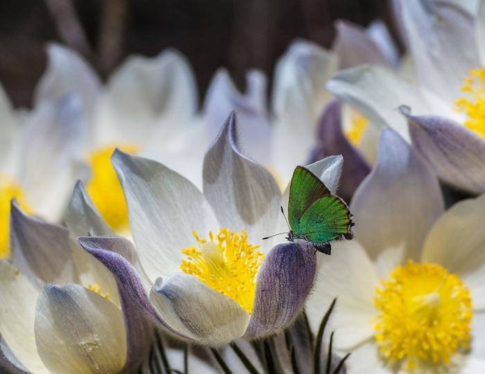 Это я удачно присела