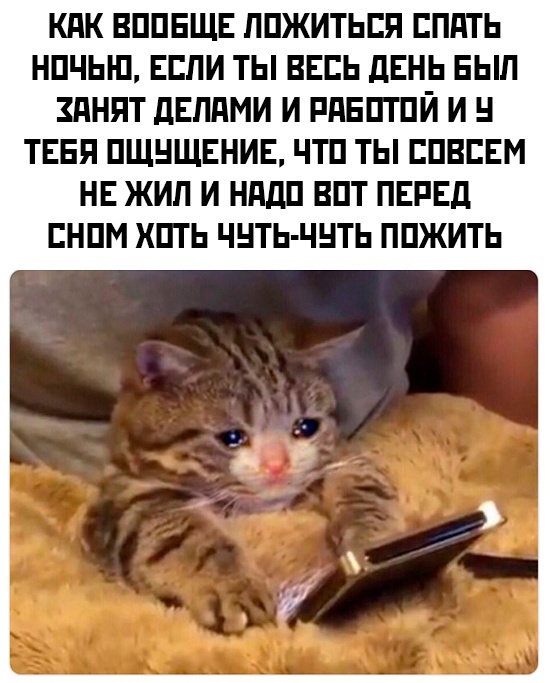 Свободное время | Пикабу