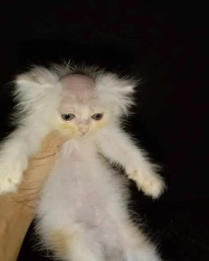    , , , , , 