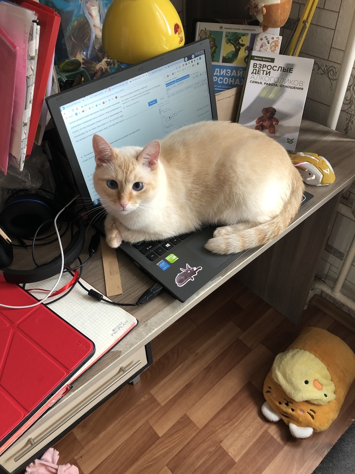 Привет всем! Нужен совет