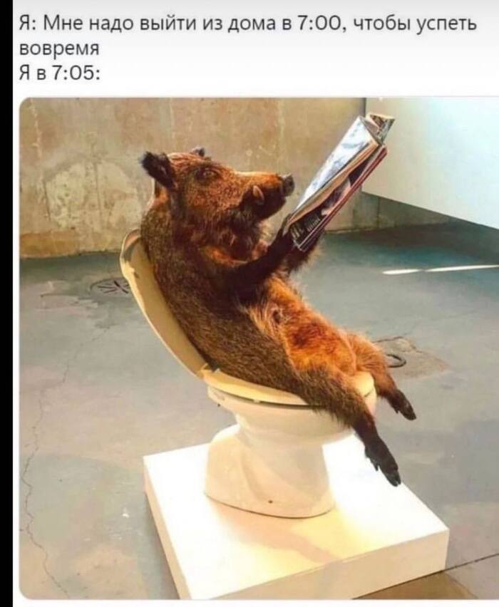  , ,   