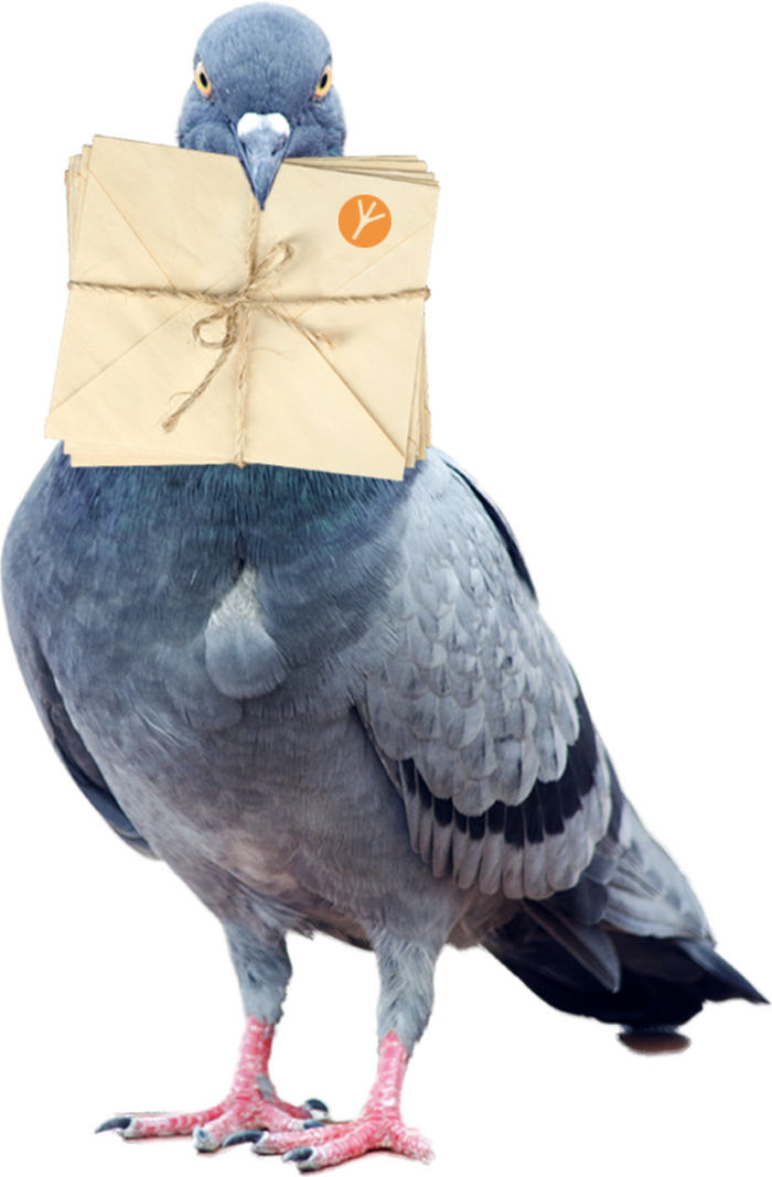 _ , , ,  , , 