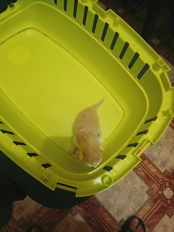 ��� ������ �������?