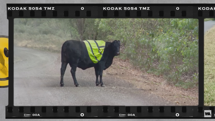      , , , Kodak, , 