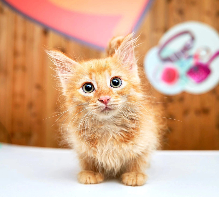 �� ���� ��� ����������� ������ ��������������� ��������, �� ����� ������