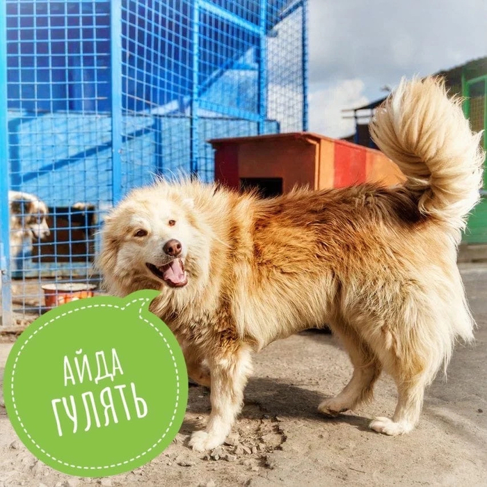 � �� ������� ���������?