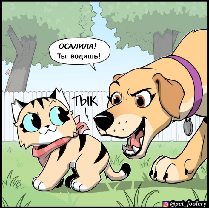  , Pet Foolery,   , , , ,  , 