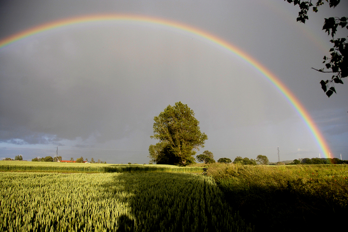 Rainbow