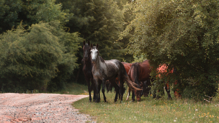 ����������