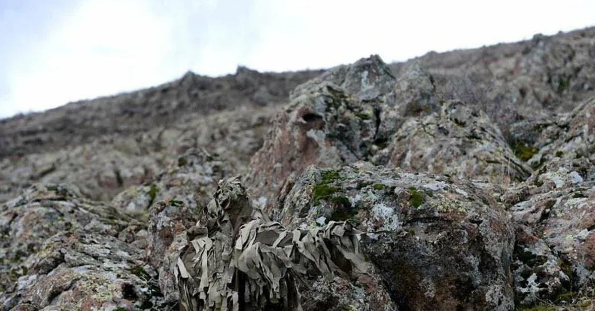 Замаскированный. Замаскированный снайпер. Маскировка снайпера. Найди снайпера. Снайпер маскировка горы.