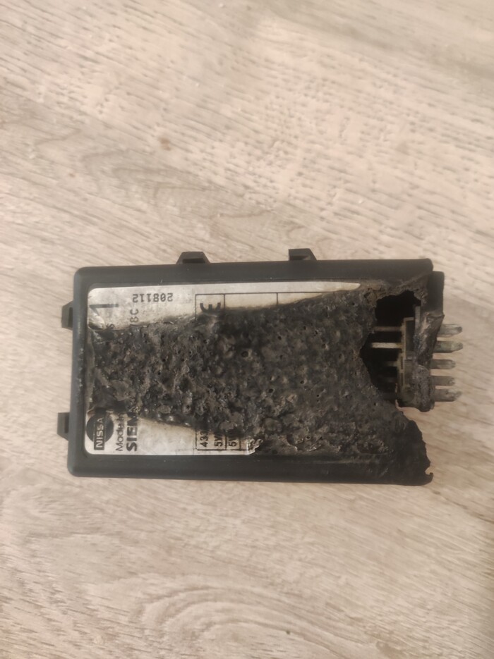 ���� ������! ������!