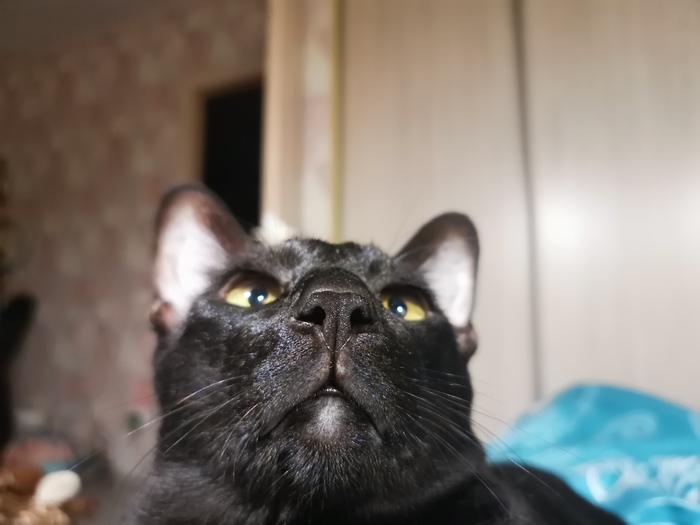   ,  , ,  ,  , 