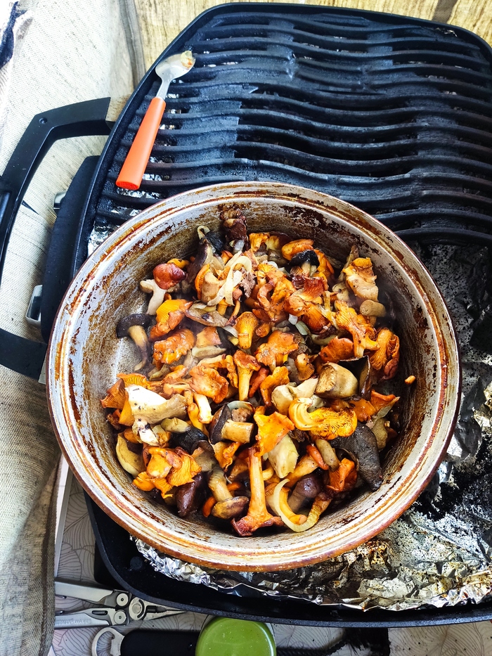 ������� ������