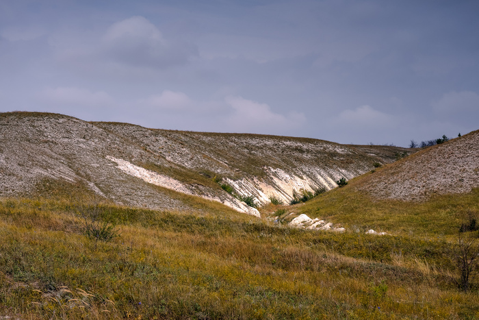 ������� ����