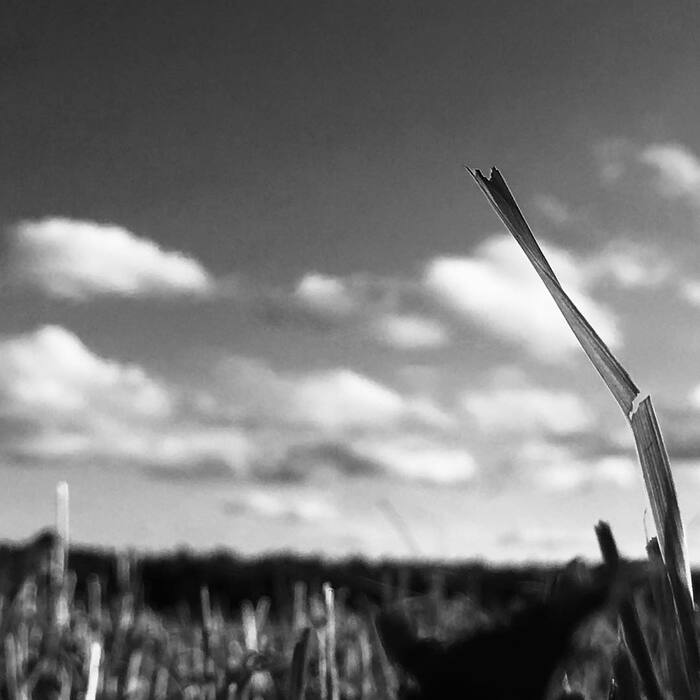 #24 � ����