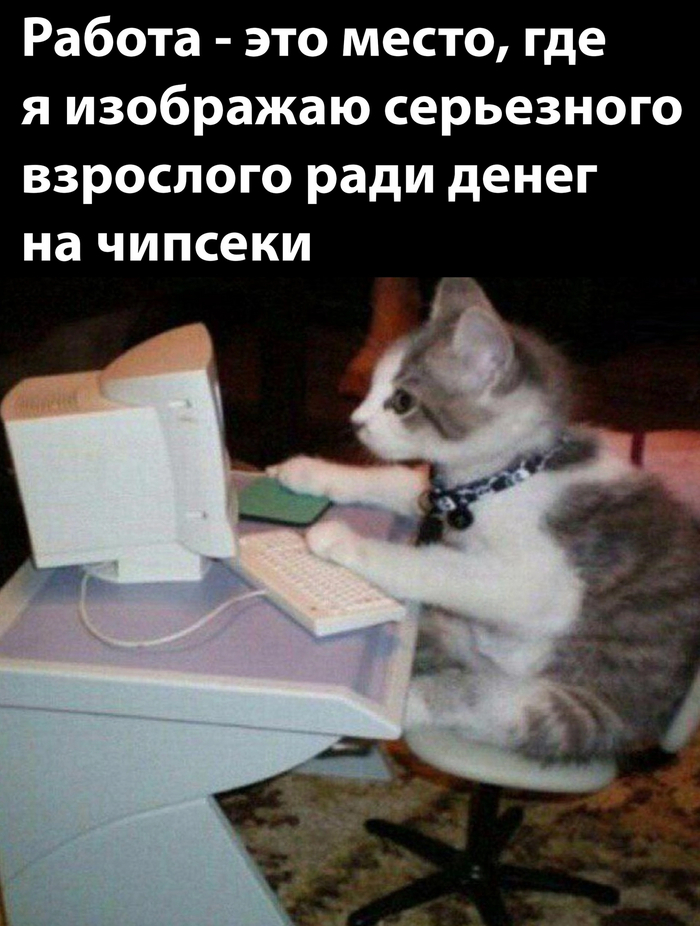 �������� �����