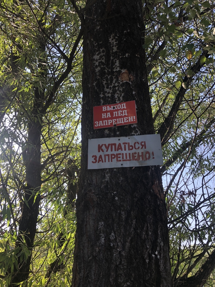 �� ��� ������ �����