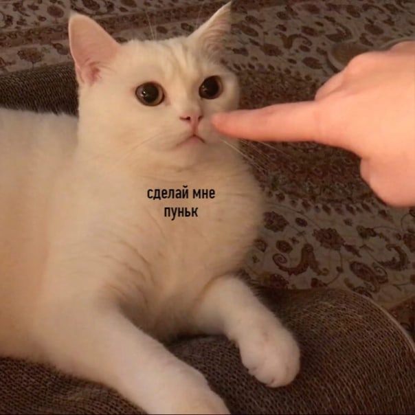  , Boop,   