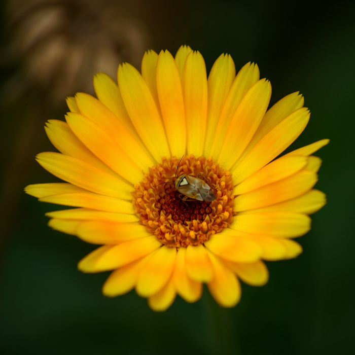 Красота природы | Пикабу