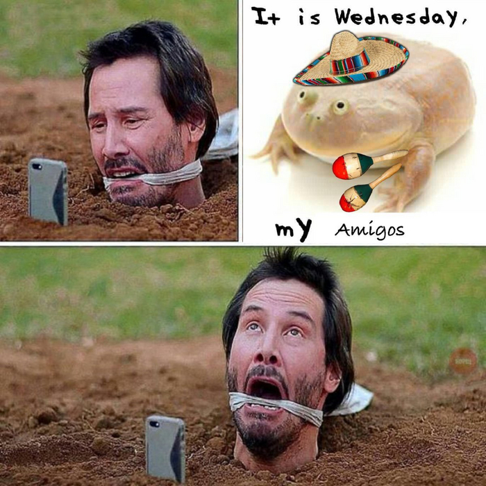  It Is Wednesday My Dudes,  