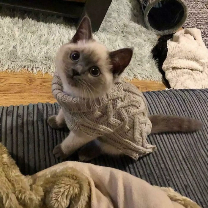      ? , , , , ,  