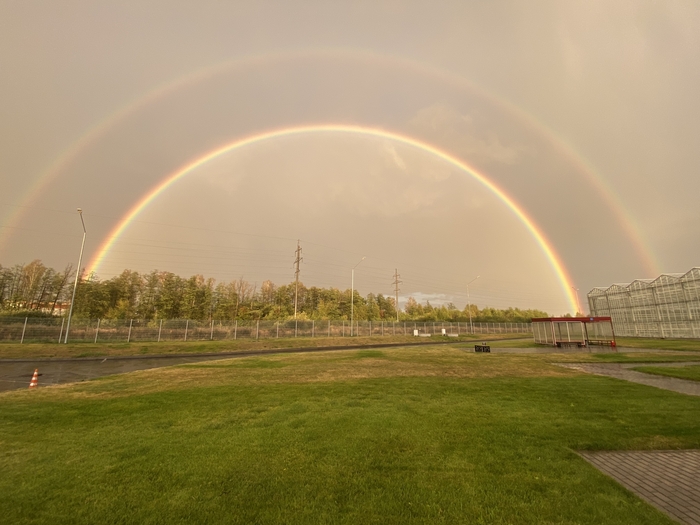 Эстафета Rainbow