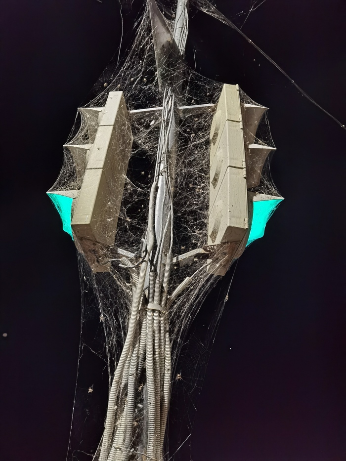           ,   , , , ,  , , ,  ,   , 