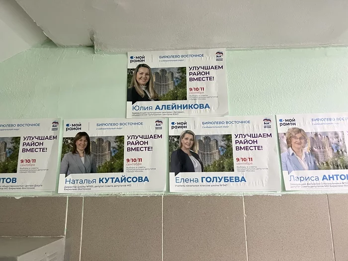 выборы под номером 6