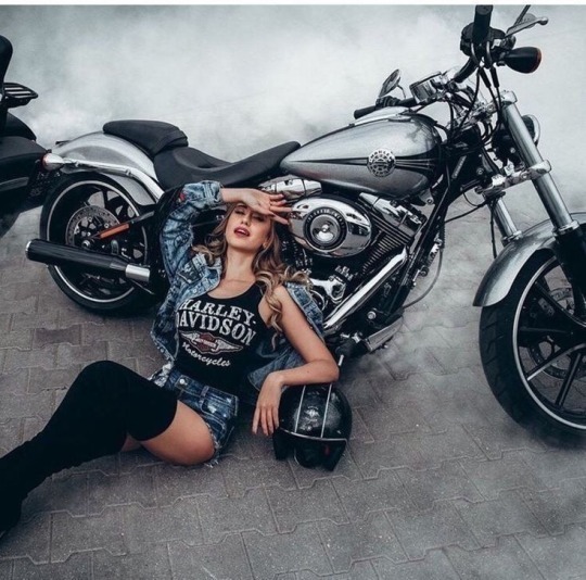Harley-Davidson , , 