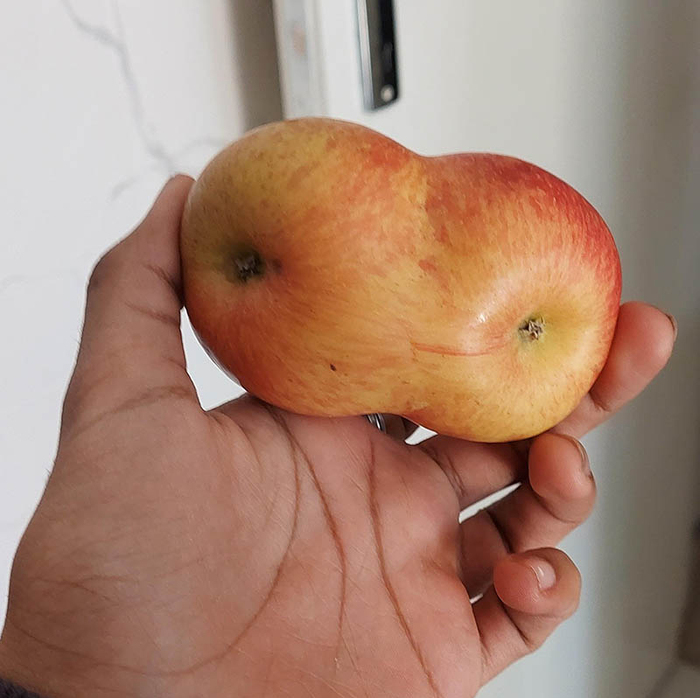 �������� ������