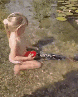  -   , , , 
