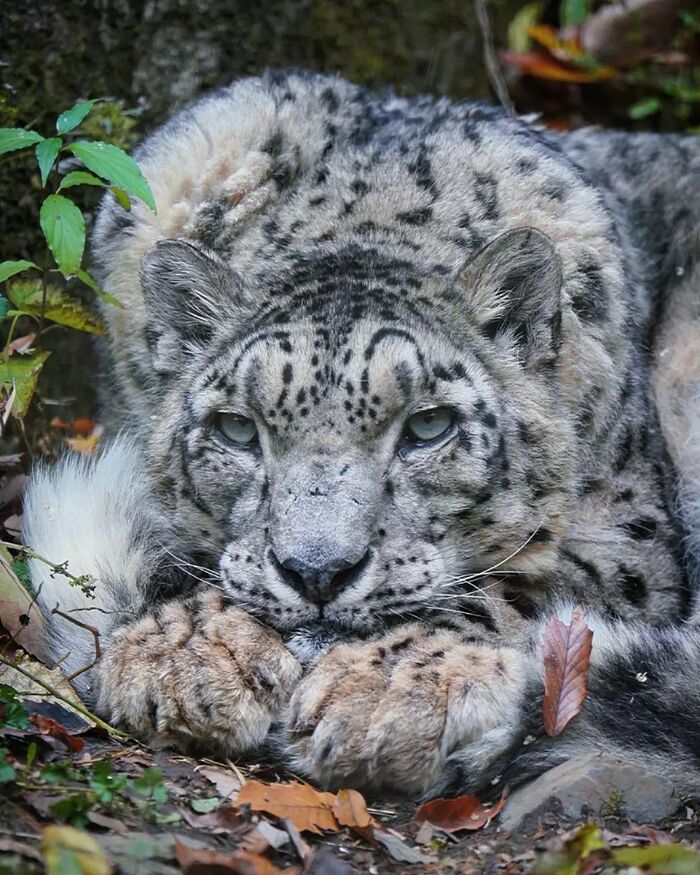 Снова осень