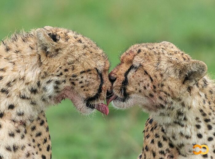 Поели - нужно умыться