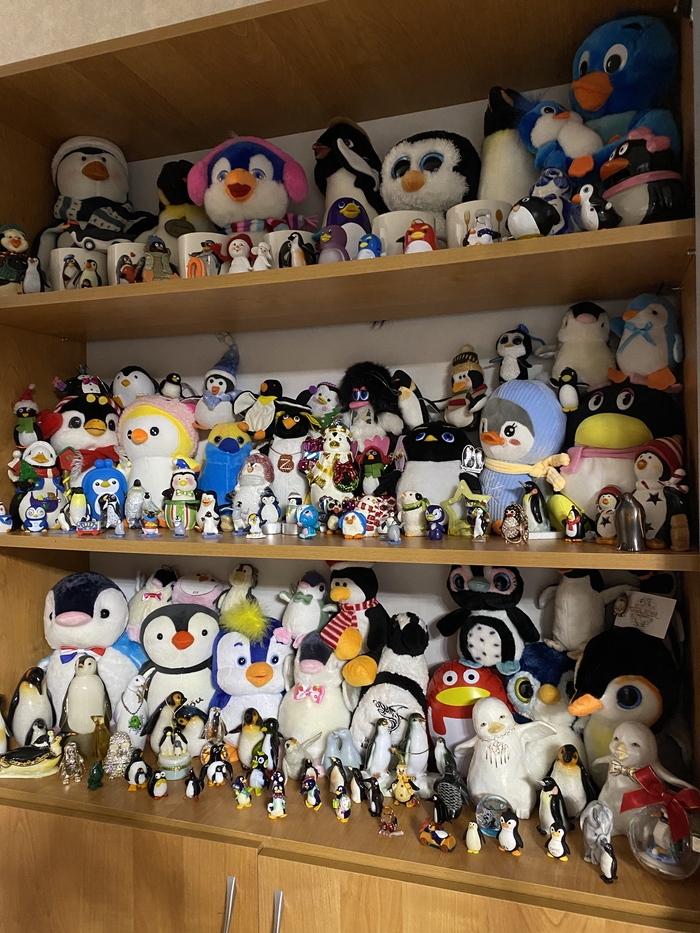 ��� ��������)