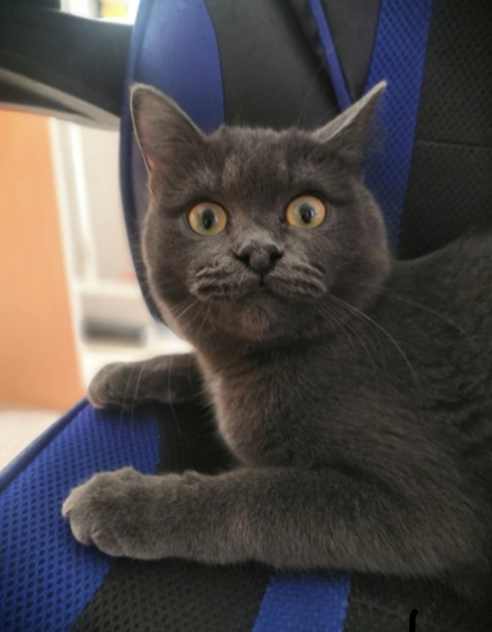 Когда понял, что скоро зима