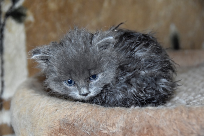 � ���-�� ��� - �������. ������ � ����� ����� � ������� ������ �� ��������. ������� ���.. ��� ������ � ���� ��������.