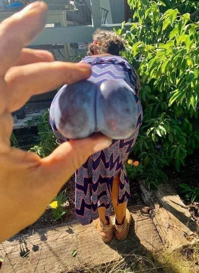         ,  , 