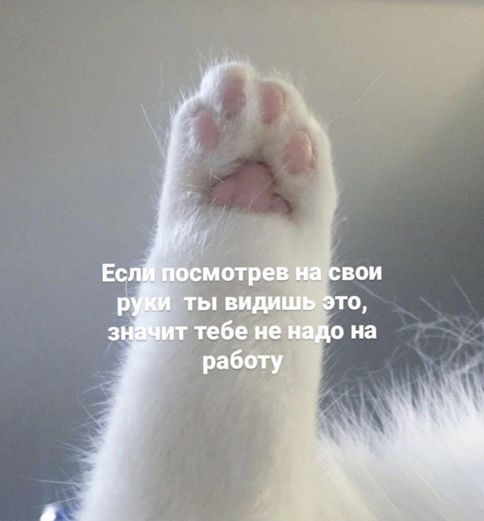  , ,   