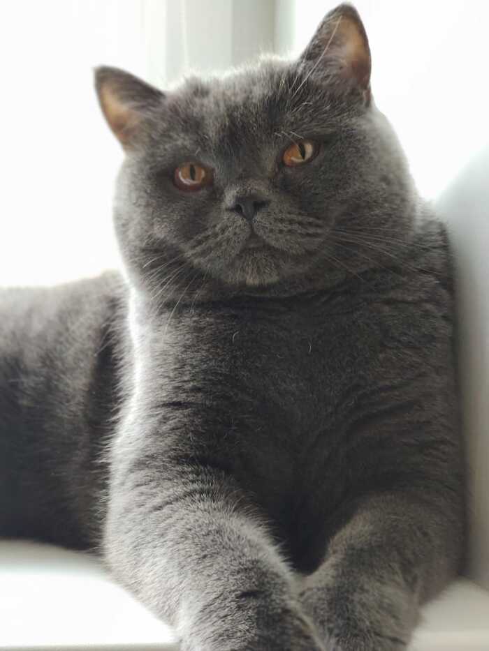   , 