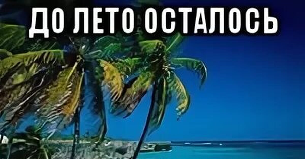 Осталось 0 дней. До лета осталось 270 дней. До лета осталось Мем. До лета осталось 5 минут. Лето через.