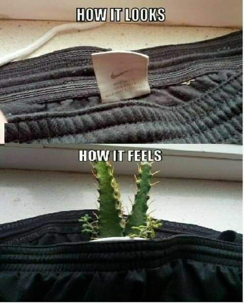 ��� ��� �������� vs ��� ��� �����������!