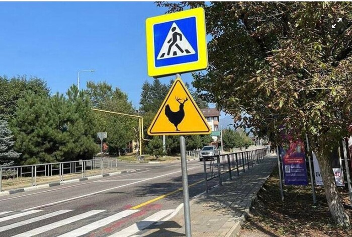 ������� ������ �� ������ � ����